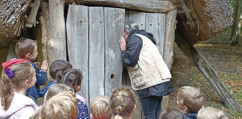Sur les traces de Tipi